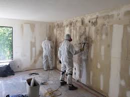 Why You Should Choose Our Mold Remediation Services in Brookings, OR